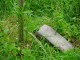 Thumbs/tn_DSC01133.jpg