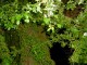 Thumbs/tn_DSC01094.jpg