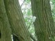Thumbs/tn_DSC01096.jpg