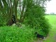 Thumbs/tn_DSC01097.jpg