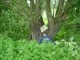 Thumbs/tn_DSC01098.jpg