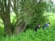 Thumbs/tn_DSC01099.jpg