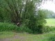 Thumbs/tn_DSC01109.jpg