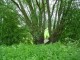 Thumbs/tn_DSC01110.jpg