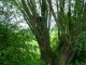 Thumbs/tn_DSC01114.jpg