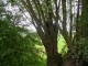 Thumbs/tn_DSC01115.jpg