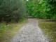 Thumbs/tn_DSC01199.jpg