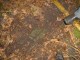 Thumbs/tn_DSC01203.jpg
