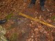 Thumbs/tn_DSC01214.jpg