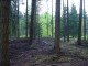 Thumbs/tn_DSC06753.jpg