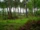 Thumbs/tn_DSC06758.jpg