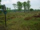 Thumbs/tn_DSC06766.jpg