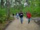 Thumbs/tn_DSC06771.jpg