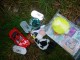 Thumbs/tn_DSC06785.jpg