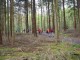Thumbs/tn_DSC06810.jpg