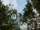 Thumbs/tn_DSC03985.jpg