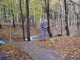 Thumbs/tn_DSC03986.jpg
