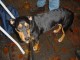 Thumbs/tn_DSC04000.jpg