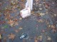 Thumbs/tn_DSC04003.jpg