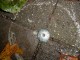 Thumbs/tn_DSC04043.jpg