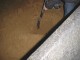 Thumbs/tn_DSC00372.jpg