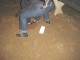 Thumbs/tn_DSC00374.jpg