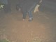 Thumbs/tn_DSC00375.jpg