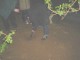 Thumbs/tn_DSC00376.jpg