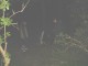Thumbs/tn_DSC00378.jpg