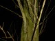 Thumbs/tn_DSC03733.jpg