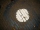 Thumbs/tn_DSC03763.jpg