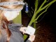 Thumbs/tn_DSC08286.jpg