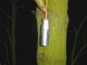 Thumbs/tn_DSC08287.jpg