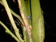 Thumbs/tn_DSC08288.jpg