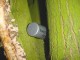 Thumbs/tn_DSC08289.jpg