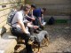 Thumbs/tn_DSC06206.jpg