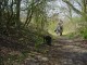 Thumbs/tn_DSC06207.jpg