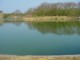 Thumbs/tn_DSC06208.jpg