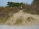 Thumbs/tn_DSC06256.jpg