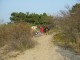 Thumbs/tn_DSC06258.jpg