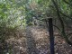 Thumbs/tn_DSC06244.jpg