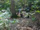 Thumbs/tn_DSC06245.jpg