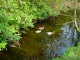 Thumbs/tn_DSC06254.jpg