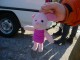Thumbs/tn_DSC08416.jpg