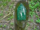 Thumbs/tn_DSC05869.jpg