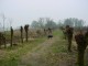 Thumbs/tn_DSC05870.jpg