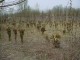Thumbs/tn_DSC05875.jpg