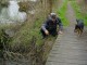 Thumbs/tn_DSC05878.jpg