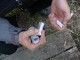 Thumbs/tn_DSC05879.jpg