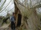 Thumbs/tn_DSC05885.jpg